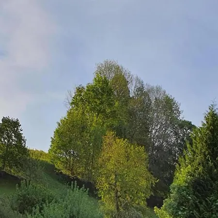 Mountain Bliss In Borstendorf Villa Grunhainichen