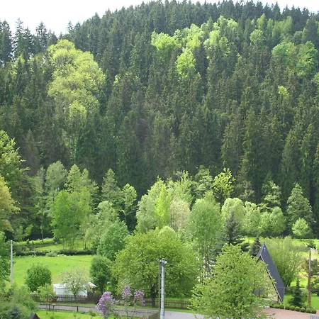 Mountain Bliss In Borstendorf Villa Grunhainichen